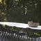 Joli design tafel Wire Majestic - 5